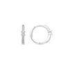 Luxenter Earrings with Brilliant Zirconia Silver Finish - Duia