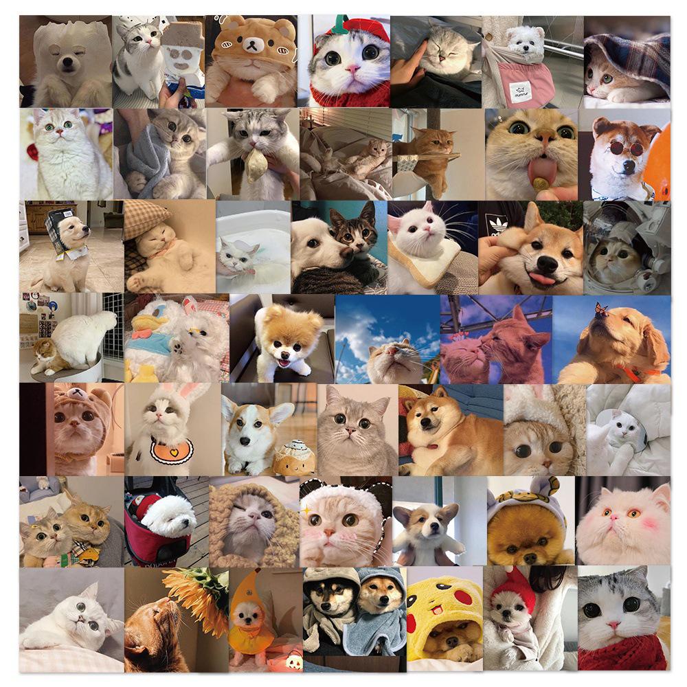 Adorable Kitten & Puppy Stickers: Creative, Waterproof Decals for Notebooks, Bottles, Phones, Skateboards, and Journals.