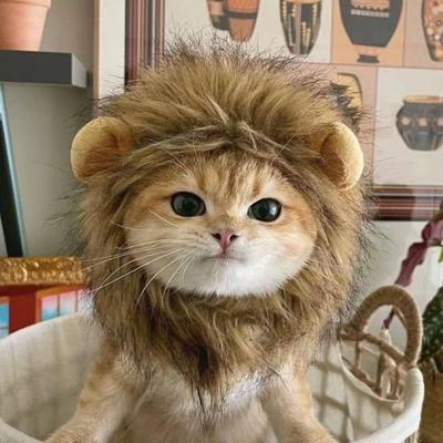 Pet Cat Decor Accessories Lion Wig Fancy Hair Cap Pet Supplies Cute Lion Headgear Cat Hat Mane Wig For Dogs And Cat Small Dog