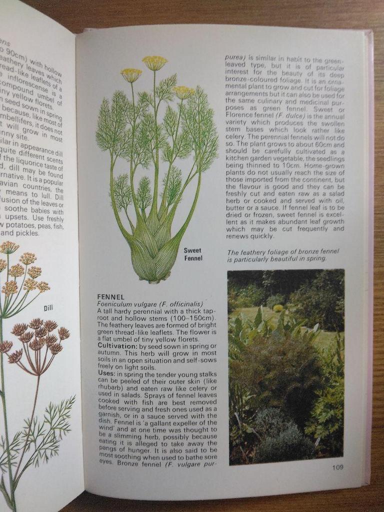 [USED] Defective Plant Encyclopedia Herbs Foreign Books HERBS Botanical Art