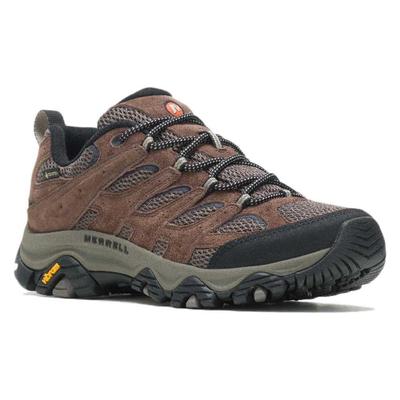 Footwear Brown Moab 3 GTX
