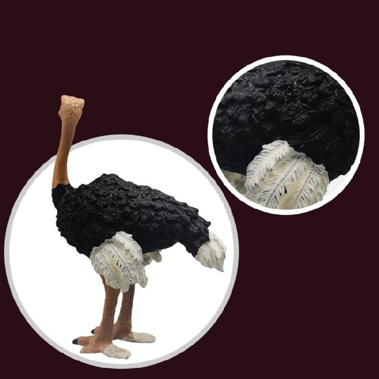 Ostrichs Figurine Realistic Plastic Wild Animals Ostrichs Model Educational Learning Toy Ostrichs Models Birthday Gifts