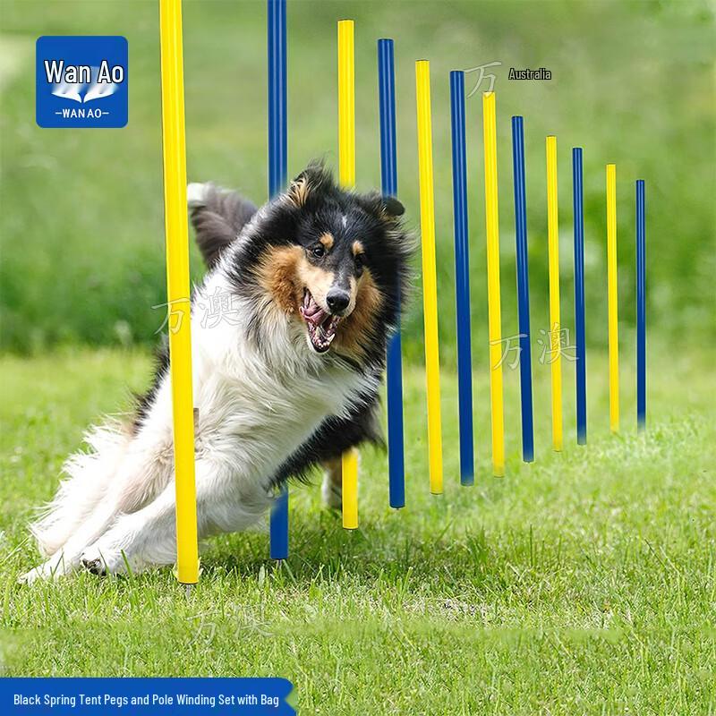 Dog Agility Training Weave Pole