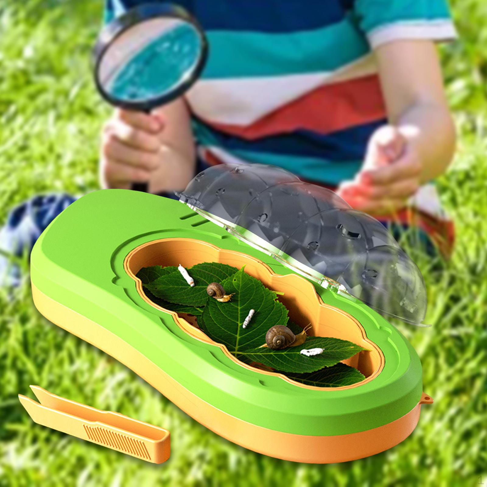 

Инкубатор для шелкопрядов, Набор для ухода за рептилиями, Прозрачное устройство для наблюдения, Домик для питомца зелёный