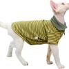 All-Season Polo Vest Pajamas for Hairless Cats – German Rex Exclusive.