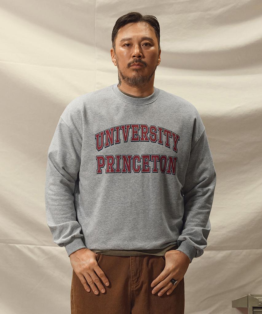 RUGGED HOUSE Princeton University Sweatshirt Melange Grey