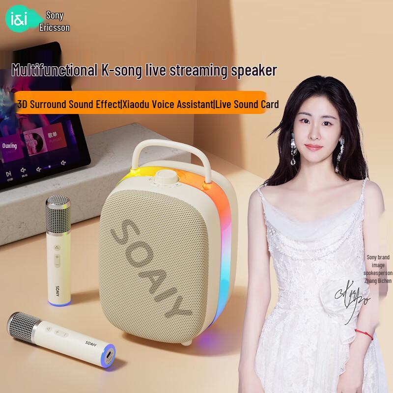 Soaiy Smart Portable Karaoke Speaker System with Wireless Microphones