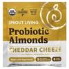 Probiotic Almonds, Cheddar Cheese, 10 Packets, 28G (1Oz) Per Pack