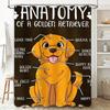 Golden Retriever Dog Anatomy Shower Curtain for Pet Lovers Cute Cartoon Home Decor Bath Mat Printing Gift