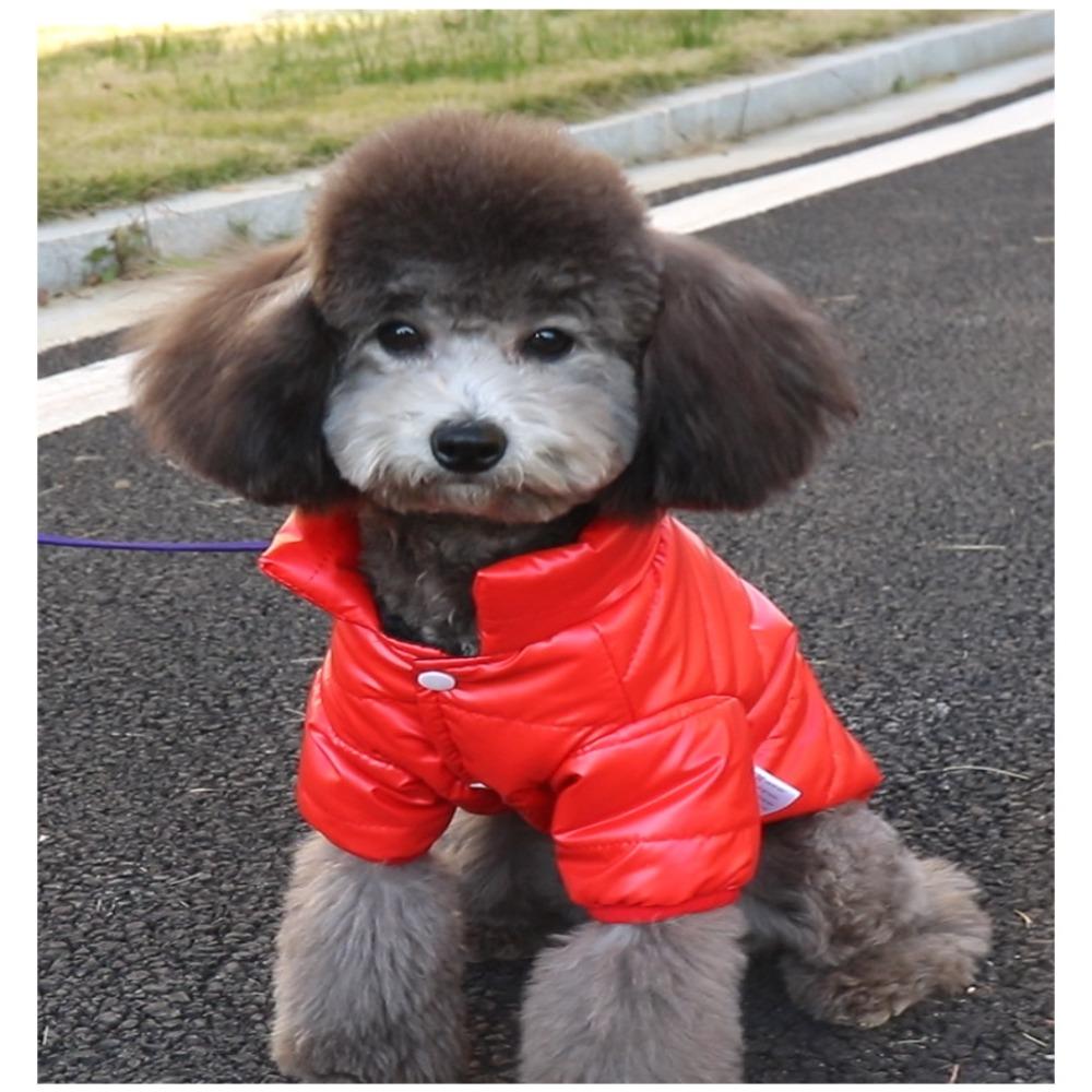 Bright Color Puppy Jacket Clothing Windproof Pet Coat Outfits Winter Dog Clothes  French Bulldog