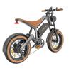 M20 Electric Dirt Bike 20inch with 48V 18.2AH Battery