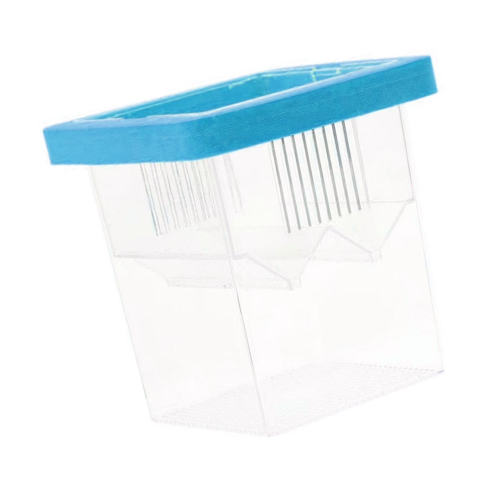 

Инкубатор для рыбок, желтый, предназначен для вылупления яиц, обеспечивает безопасную и комфортную среду синий