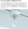 BELLED Moana Marine Ceiling Single LED for and Antique Light, Light, Compact, Stylish, Compatible, Entryways, Bedrooms, Bathrooms, Hallways, Gold,