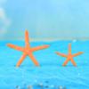 Stea de mare colorată cu cinci brațe, rășină, acvariu, stea de mare, ornamente de peisaj