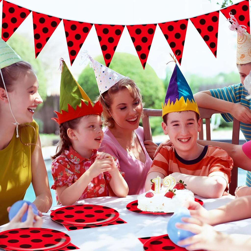 Red Black Polka Dot Party Supplies Ladybug Theme Tableware Plates Cups Napkins Balloon Kids Girl Birthday Decoration Baby Shower
