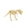 Dinosaur Skeleton DIY Toys Educational Puzzles Model Set For Kids Over 6 Years Old