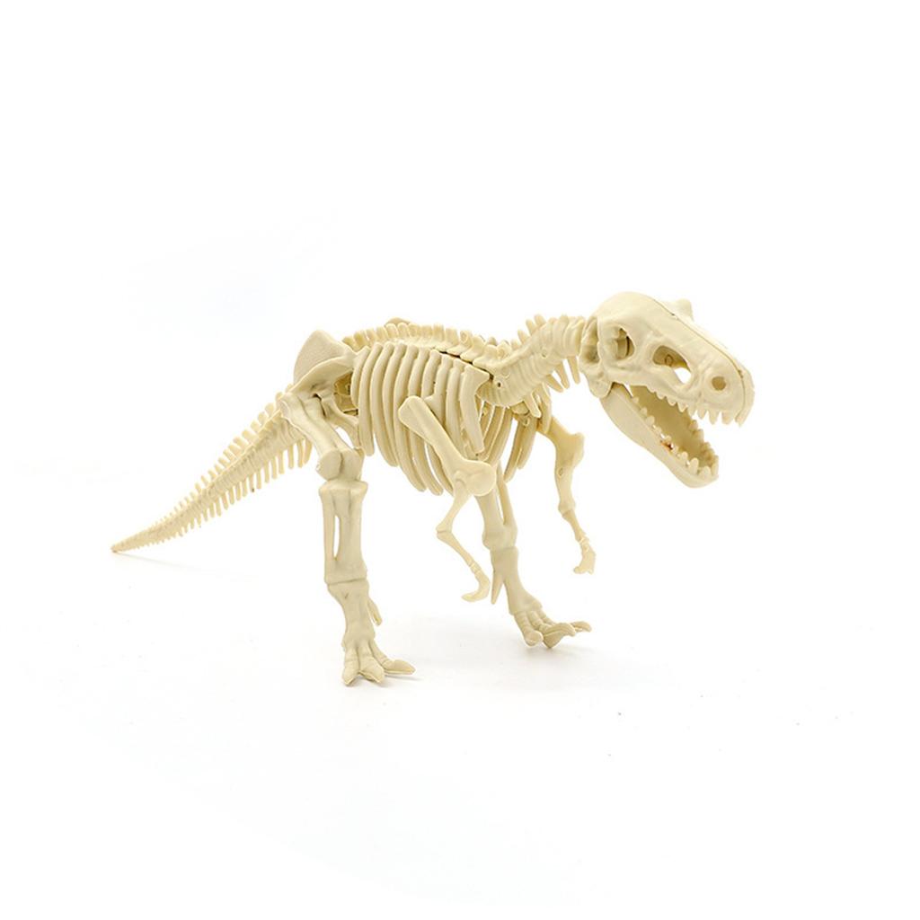 Dinosaur Skeleton DIY Toys Educational Puzzles Model Set For Kids Over 6 Years Old