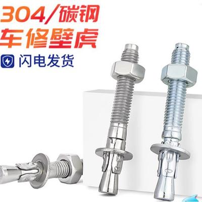 High-Strength 304 Stainless Steel Expansion Bolt, Galvanized M8-M20 Wall Plug for Elevators