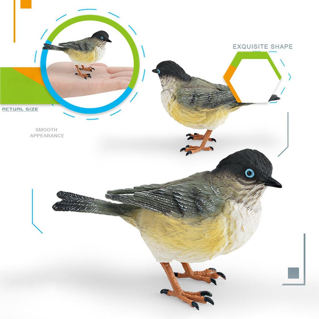 Miniature Birds Decor Animal Sculpture Simulation Bird Figurines Sparrow Figures for Bookshelf Home