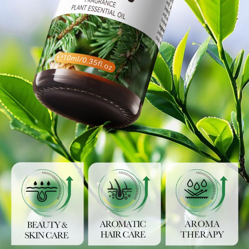 Botanischer Duft ätherisches Öl, Kiefer nährende Haut Körper Serum