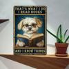 1 Stück Vintage Blech Metall Wandschild Lustiges Buchzitat „Das mache ich ich lese Bücher und weiß Dinge“ 8x12 Zoll Dekorative Plakette für Heimbibliothek Bar