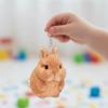 Stofftier Hase Plüsch-Schmuckstücke PP-Baumwolle Hase Plüschtier Hase Plüsch-Schlüsselanhänger Auto-Anhänger