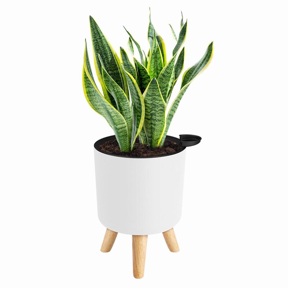 Self Watering Planters with Water Level Indicator for Indoor and Outdoor Use