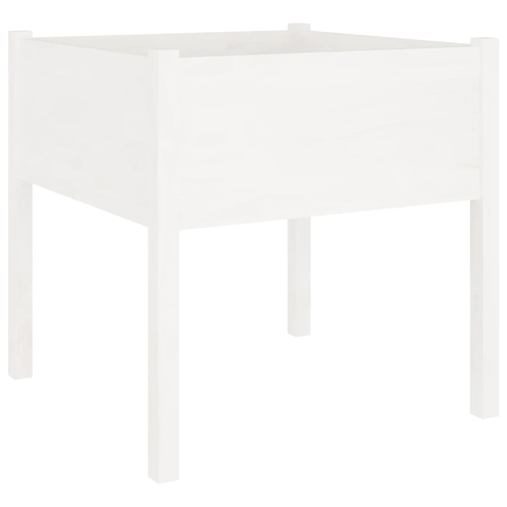 Planter Box White 70x70x70 Cm Solid Pine Wood