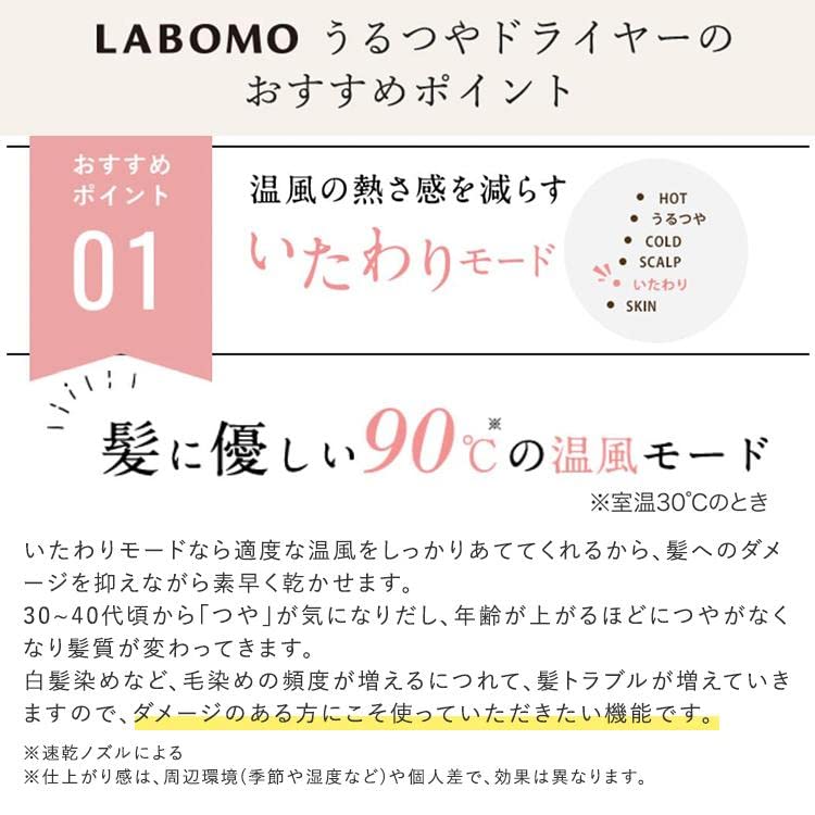 Art Nature LABOMO Moisturizing Hair Dryer, Nanoe, High Penetration, Ion, Mineral Negative Ions, 1200W