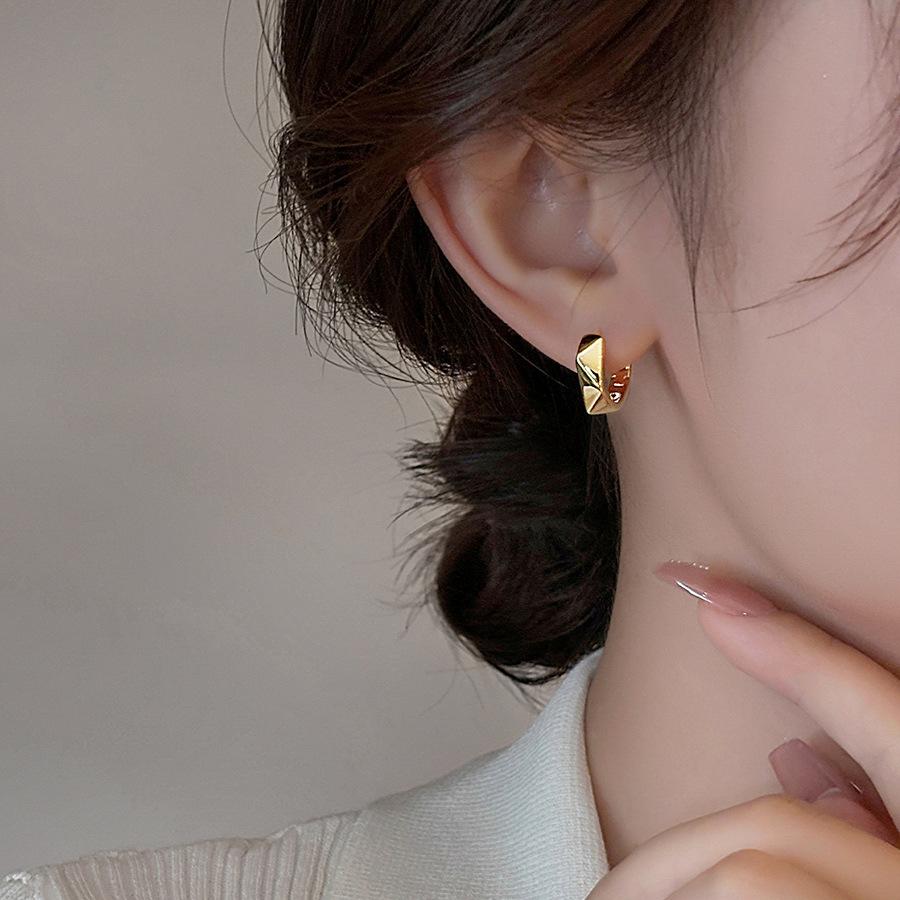 Geometric Irregular Section Round Ear Buckle Temperament Fashionable High-end Earrings Simple Light Luxury Cold Wind Earrings