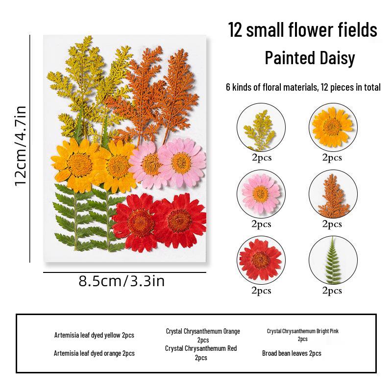 DIY Dried Flower Specimen Sticker Set for Kids: Handmade Pressed Flower Frames & Resin Bookmark Craft Kit