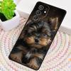 Yorkshire Terrier Hund TPU Handyhülle Für Samsung Galaxy note 10 pro S26 S25 S24 S23 S22 Ultra Plus S21 FE S20 Stoßfeste Hülle