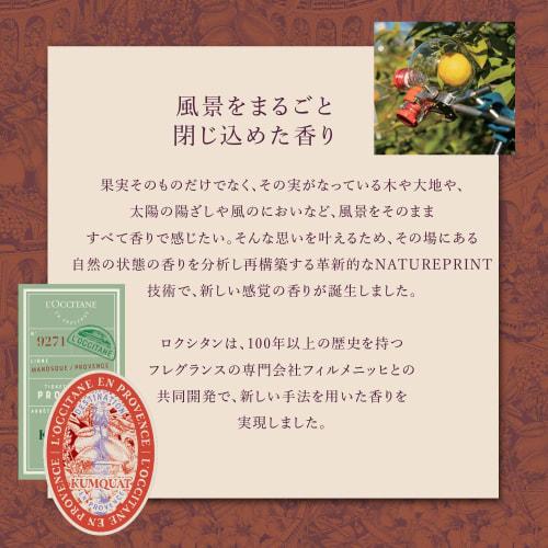 L'OCCITANE Luminciana Almond Hand Care Set Gift Set (Liquid Hand Soap + Hand Cream) [2024 Holiday Coffret] Christmas Present Gift Women Men Popular Ho