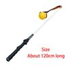 Flirt Pole for Dogs Large Breed Dog Teaser Pole for Exercise Playing Outdoor