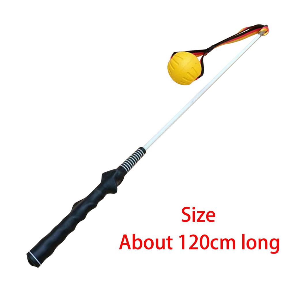 Flirt Pole for Dogs Large Breed Dog Teaser Pole for Exercise Playing Outdoor
