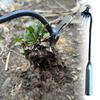 Grass Rooting Loose Soil Rake Manganese Steel Hand Weeding Removal Puller Sturdy V-shaped Fork Weed Puller Tool Gardening Tools