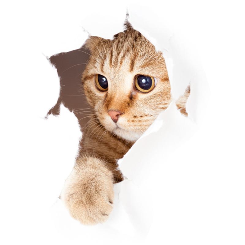 

3D Cartoon Toilet Sticker Wall Sticker One Size коричневый