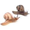 Simulated Snail Growth Cycle Science Toy for Kids