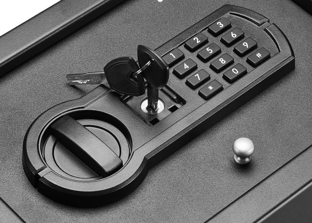 AmazonBasics Zylinder Klein Schmal Schreibtischschublade Sicherheitssafe Programmierbares Elektronisches Tastenfeld 30cm B x 22cm T x 11cm Schwarz - H,