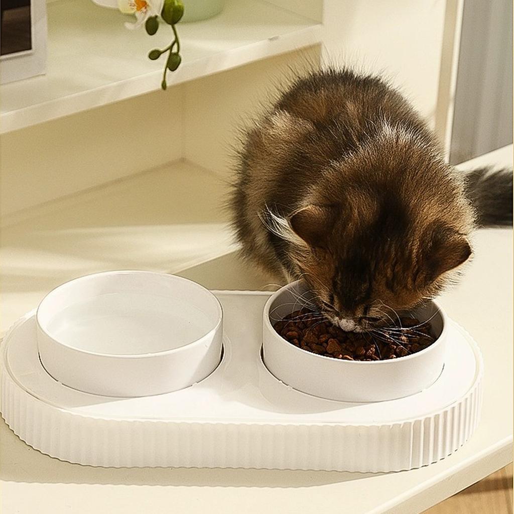 Warm Drinking Double Ceramic Bowls for Pets USB Heated Water Dish Bowl Food Feeder Bowl for Pet Indoor and Outdoor Use