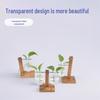 Innovative Wooden Frame Hanging Glass Hydroponic Vase for Pothos – Desktop Flower Arrangement Decor