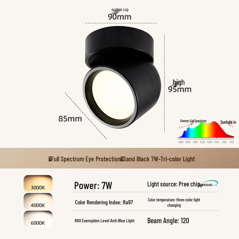 Adjustable Rotatable Surface-Mounted Downlight for Living Room, Aisle, Entrance, Bedroom - No Main Light Required