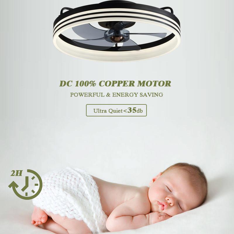 110-220V Modern Household Ceiling Fan Light Variable Frequency Energy-saving Ceiling Fan Lamp Restaurant Silent Electric Fan Light