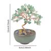 Money Tree Figurine Decorative Piece for Office Shelf Gift