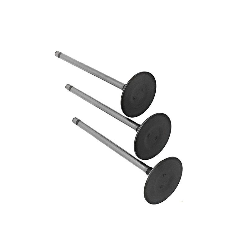 Suitable for Toyota Land Cruiser Prado(2TR 2.7L) 2004-2015 Intake Valve