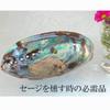 New Zealand Abalone Shell Smudging Dish, Accessory Case, and Crystal Container. Essential for White Sage Purification.