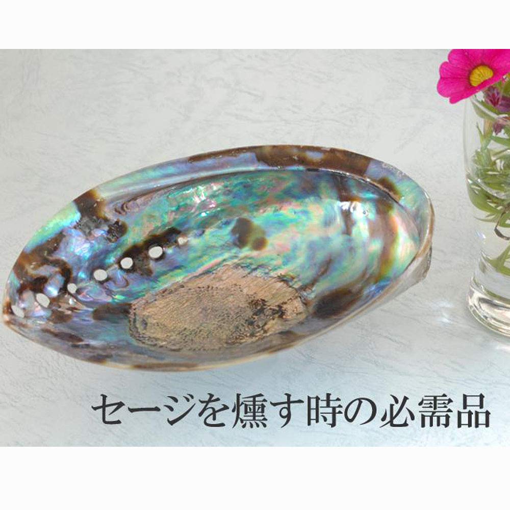 New Zealand Abalone Shell Smudging Dish, Accessory Case, and Crystal Container. Essential for White Sage Purification.