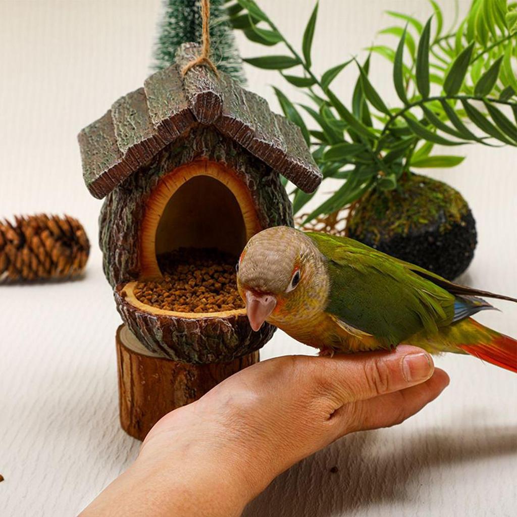 Hanging Bird Feeder House Open Design Birdhouse Small Decorative Wild Bird Feeders For Hummingbird Squirrel Viewing Feeding