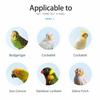 Washable Parrot Bird Perch Stand Adult Hand Proportions Parrot Fake Hand Perch  Interactive Play