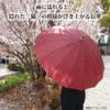 Santos Long 55cm Rib Length Umbrella, Cat's Day, Burgundy, [JK-154]